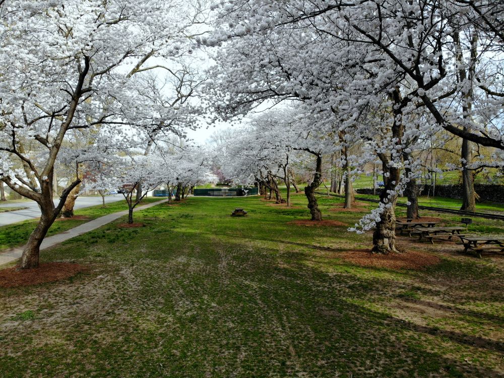 The grounds of Brandywine Park