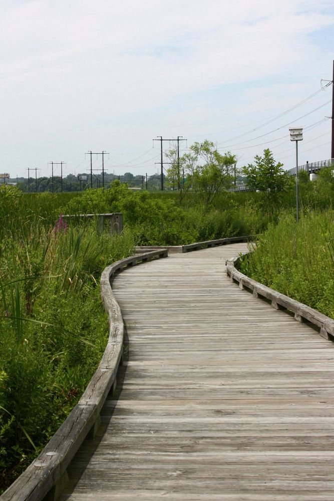 A boardwalk at Russell W. Peterson Urban Wildlife Refuge