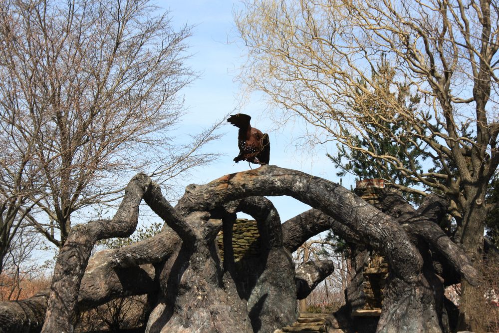 A sculpture at Russell W. Peterson Urban Wildlife Refuge