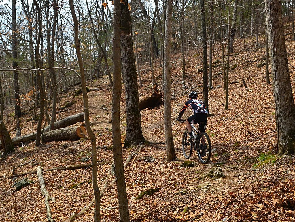 A man riding the bike along the West Tyson Park trail.