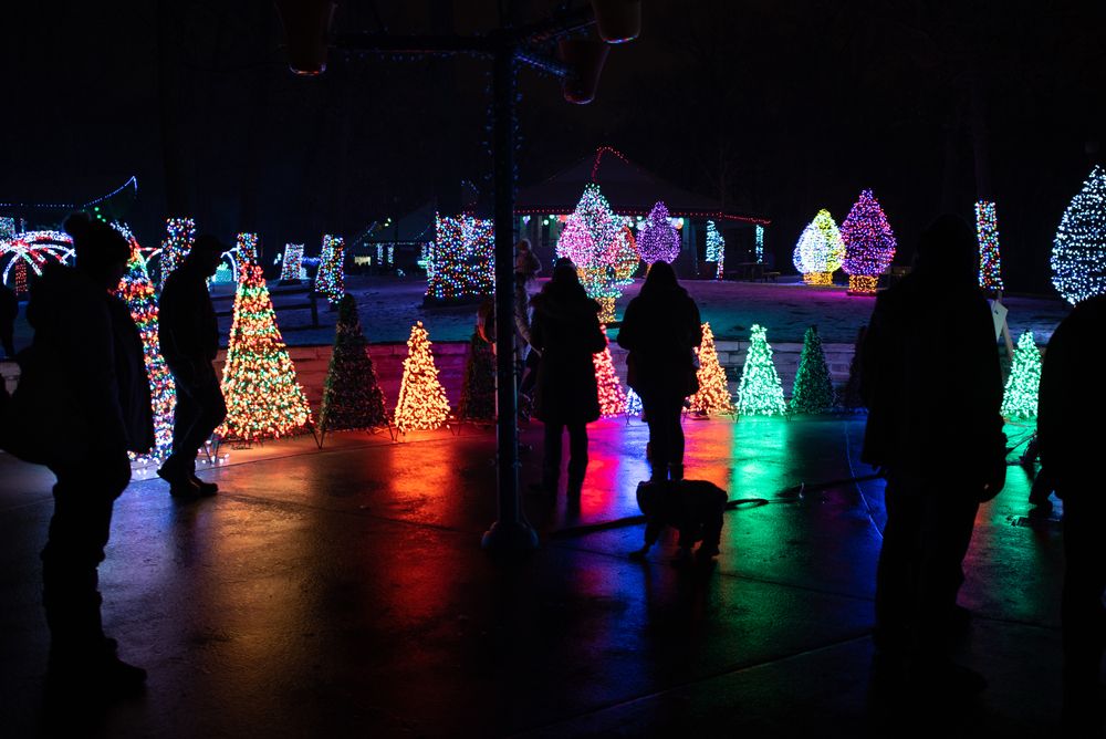 Colorful christmas lights at Enchantment in the Park