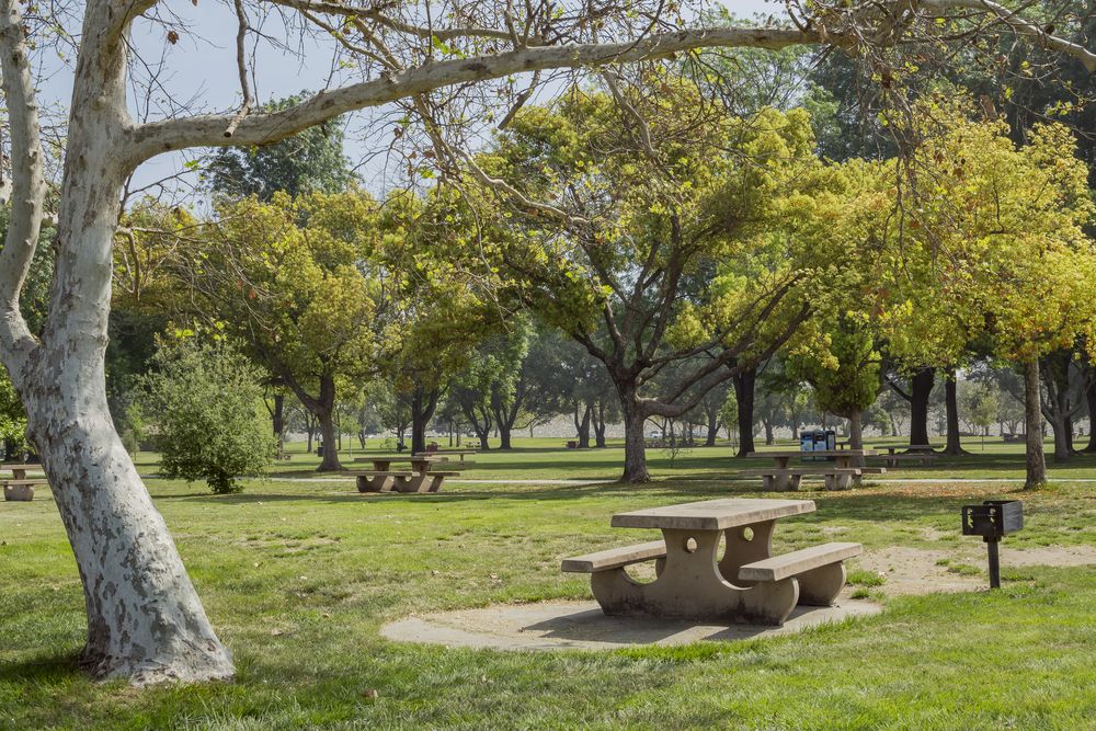 A table and chair under a tree at Santa Fe Dam Recreation Area