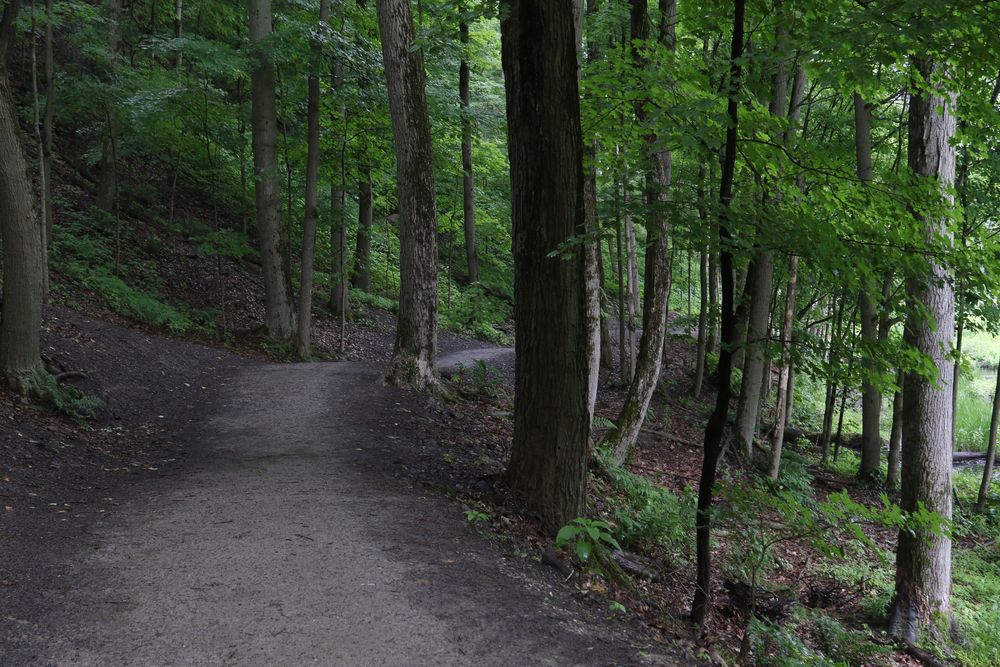 Trail of Rocky River Reservation