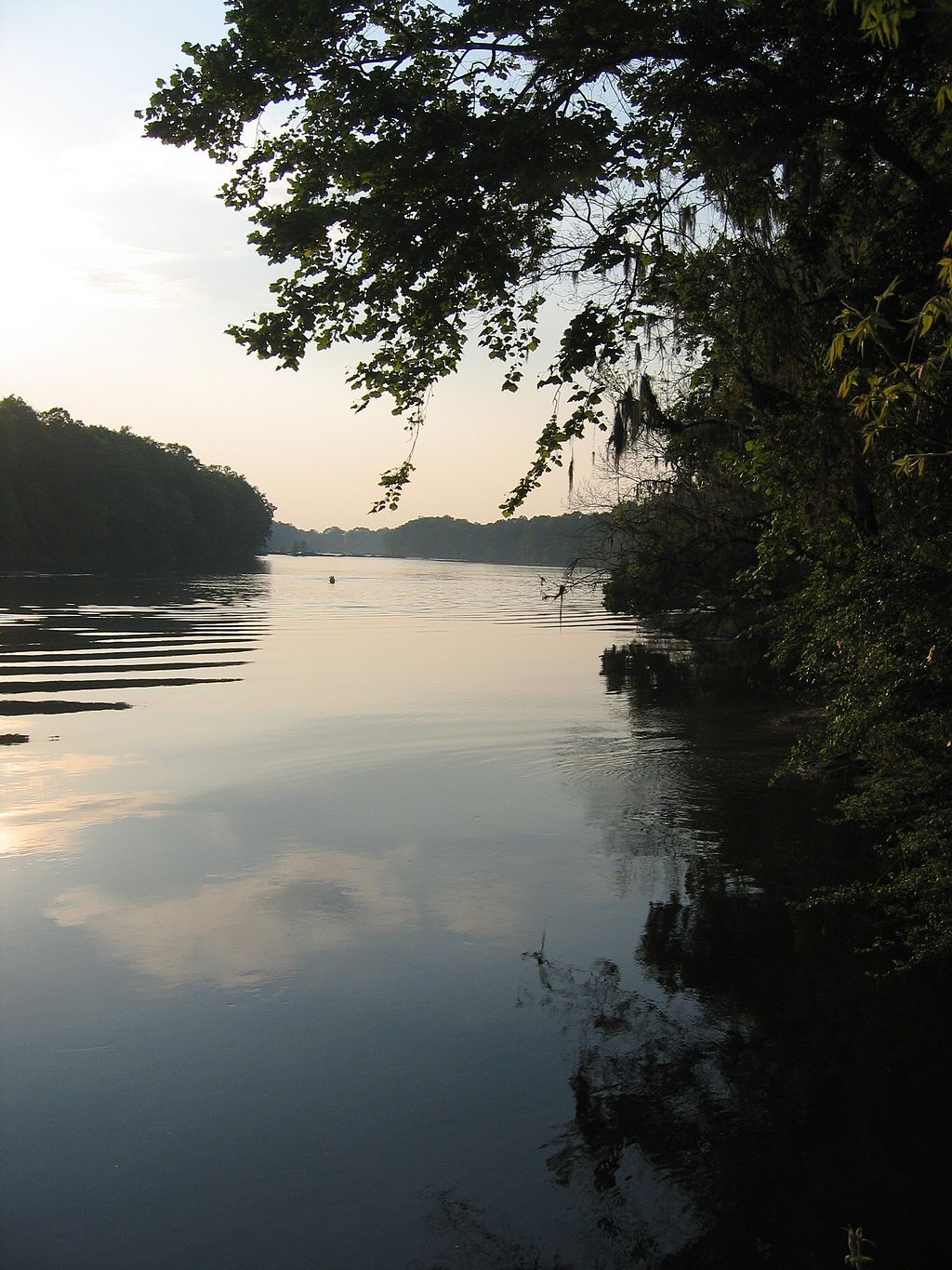 Waters of Coosa River