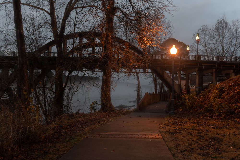 Foggy evening at Gold Star Park