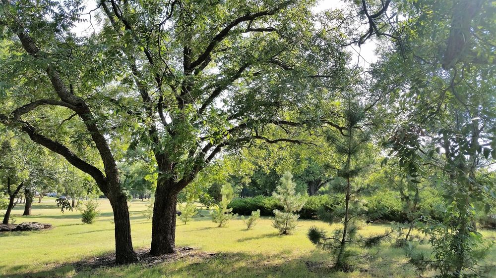 The grounds of Lucy Park