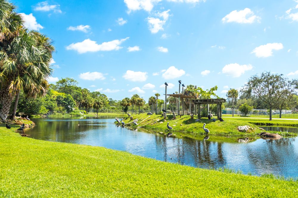 Scenic view of the birds at Lion Country Safari