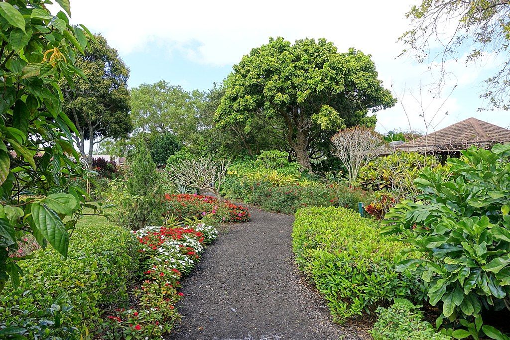 Trail lined with flora at Mounts Botanical Garden