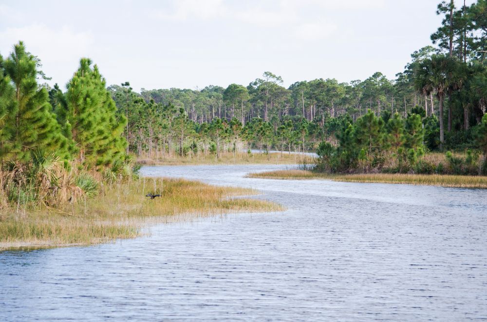 The waters of Okeeheelee Park