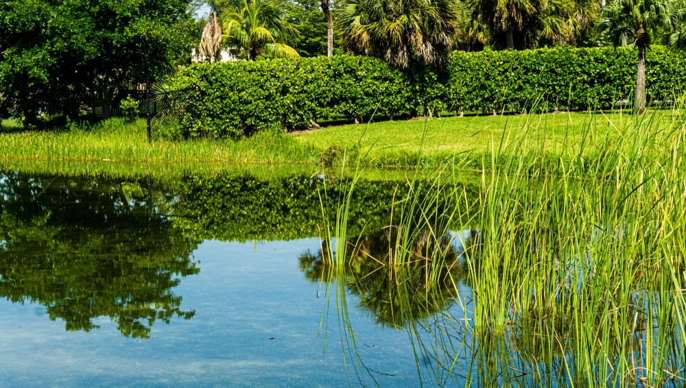 Waters at Tropical Park