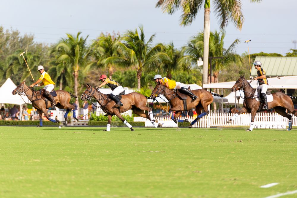 Polo cup at the National Polo Center