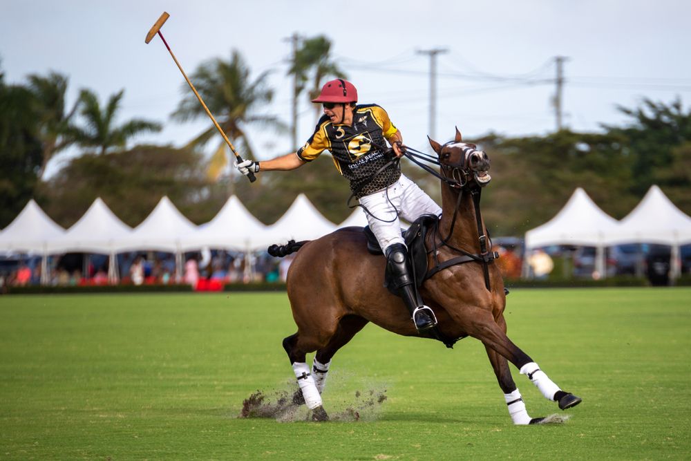 Polo player at the National Polo Center