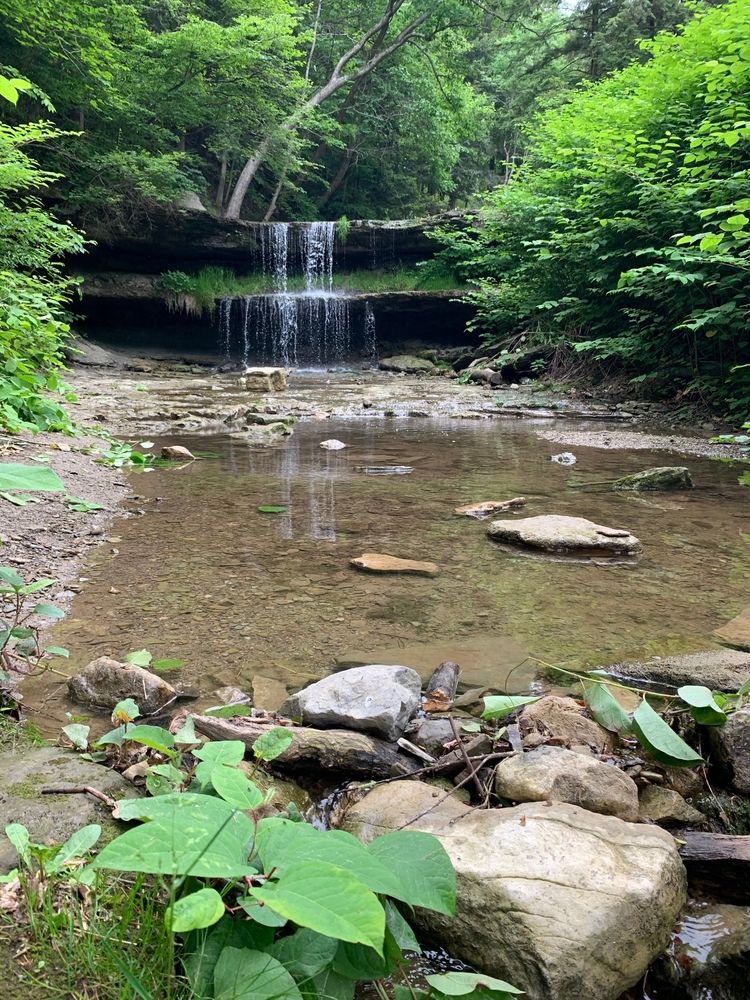 Waterfall stream at Oglebay Park