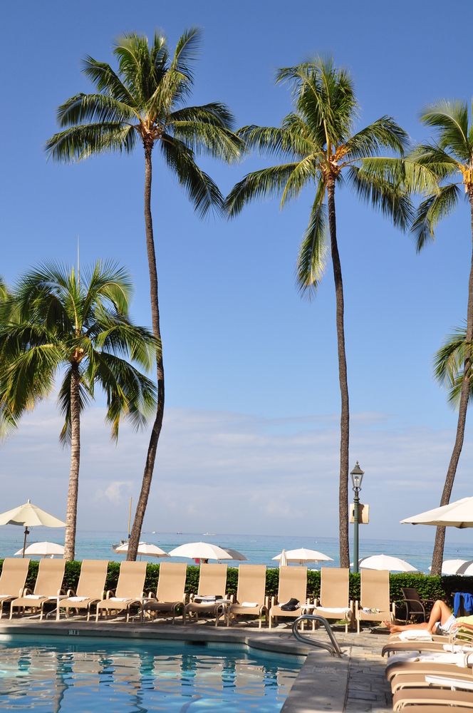 Pool chairs at the Luxurious Moana Surfrider