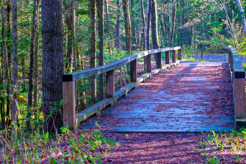 Bridge trail at Pattison State Park