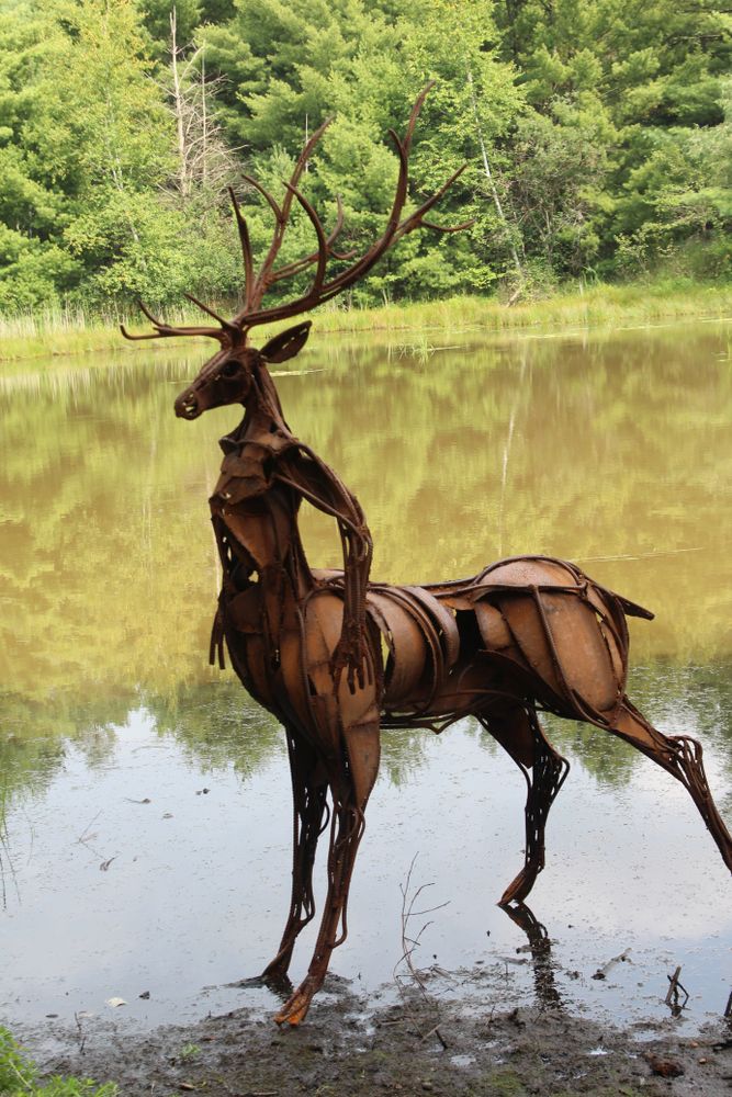 Animal-shaped sculpture at Stevens Point Sculpture Park
