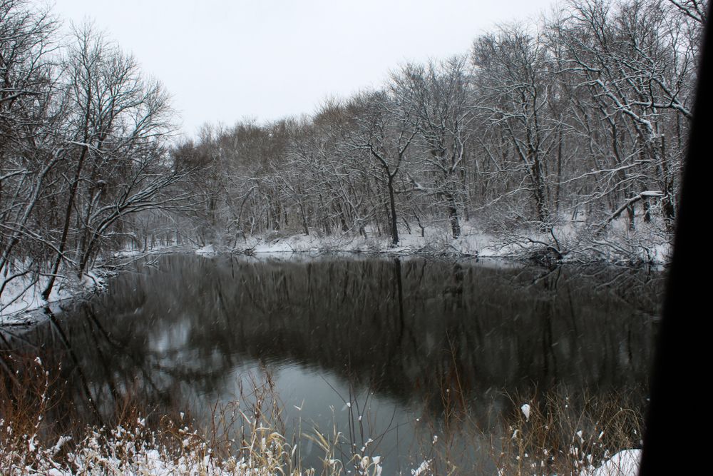 A lake at George Wyth State Park