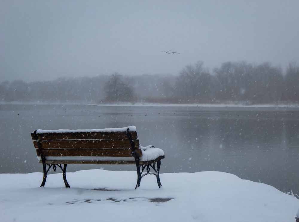 Snow-covered bench at George Wyth State Park