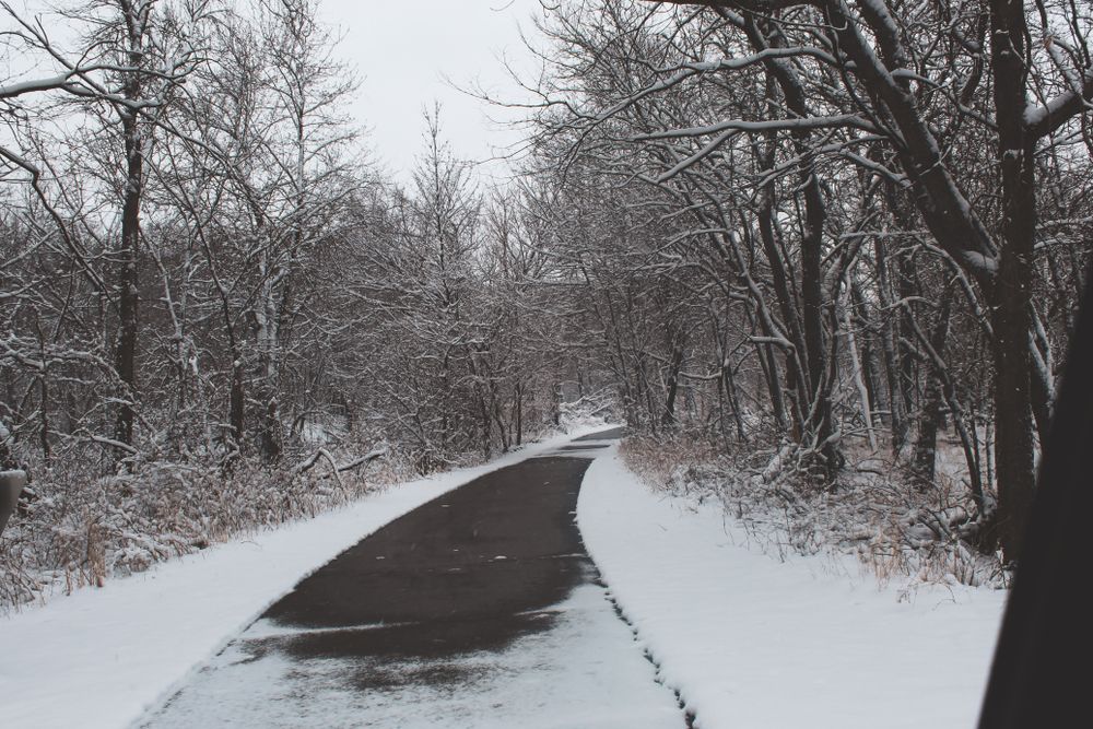 Trail lined with snow at George Wyth State Park