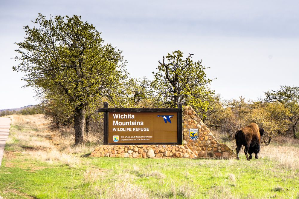 Wichita Mountains entrance post, with tall trees behind it.