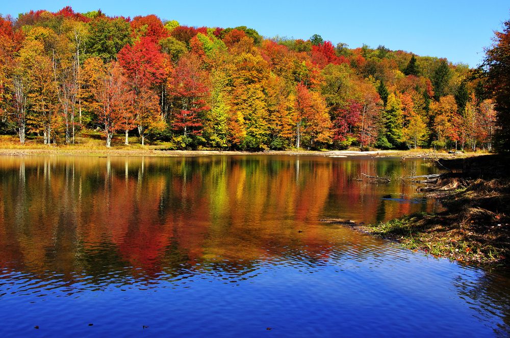 Summit Lake at Monongahela National Forest,