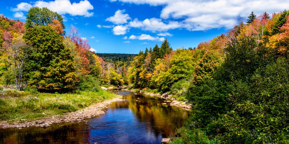 View of Monongahela National Forest,