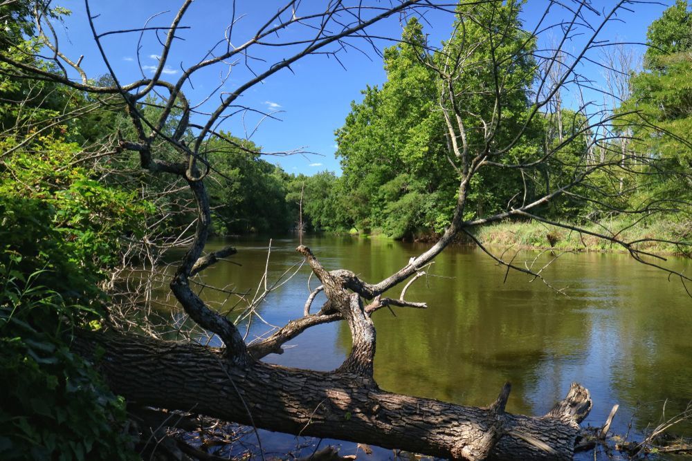 The waters of Tippecanoe River State Park