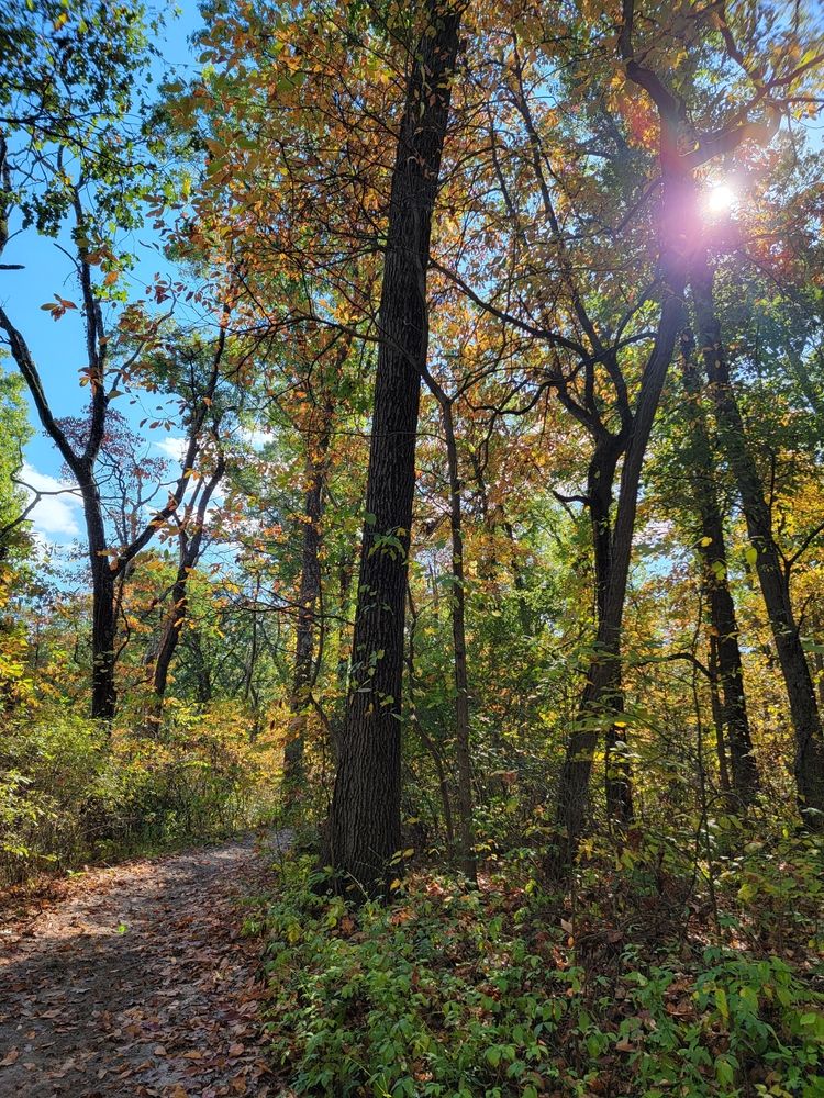 Nature trail at Tippecanoe River State Park