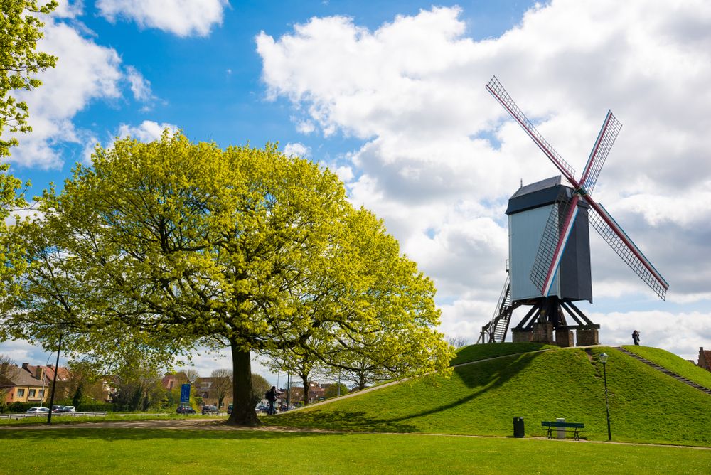 View of Sint Janshuysmill