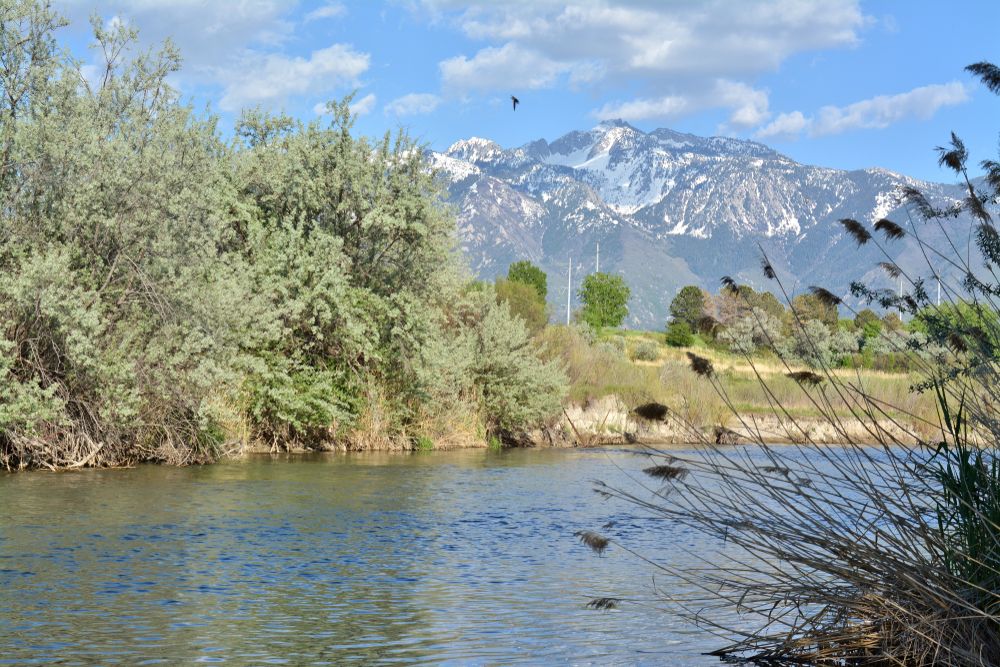 Scenic view from Jordan River Parkway Trail