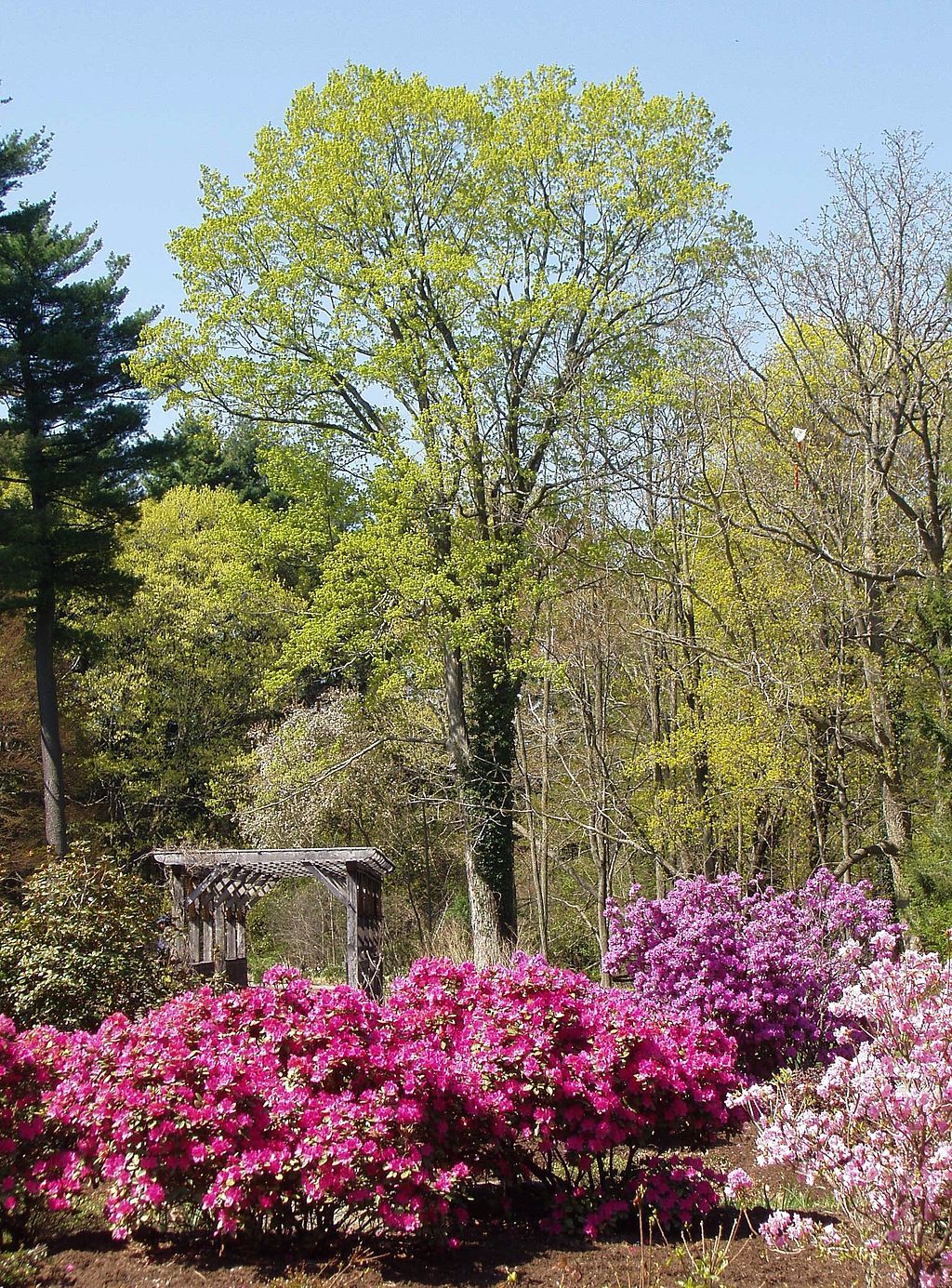 Vibrant flowers at the Gardens at Elm Bank