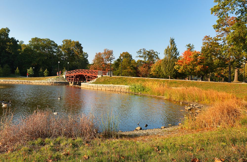 The waters of Elm Park