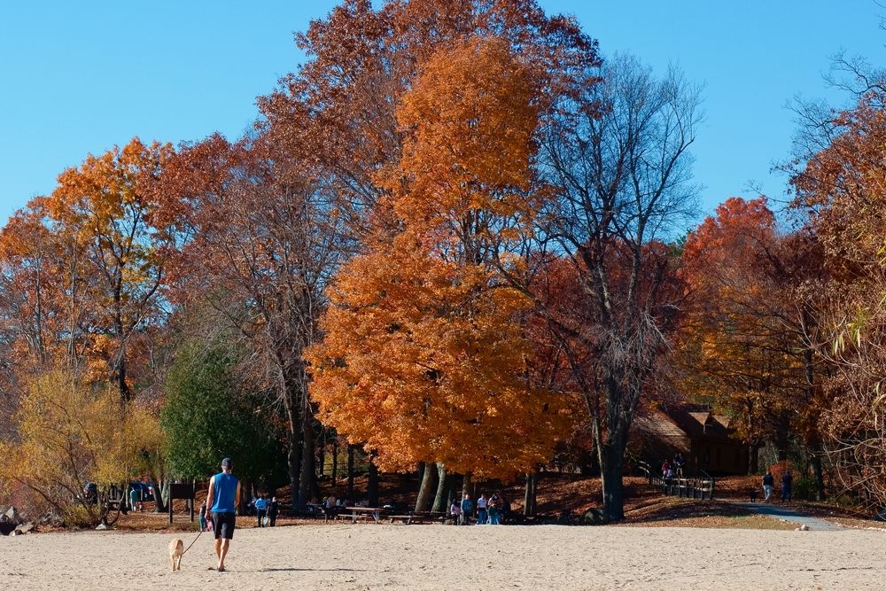 The grounds of Hopkinton State Park