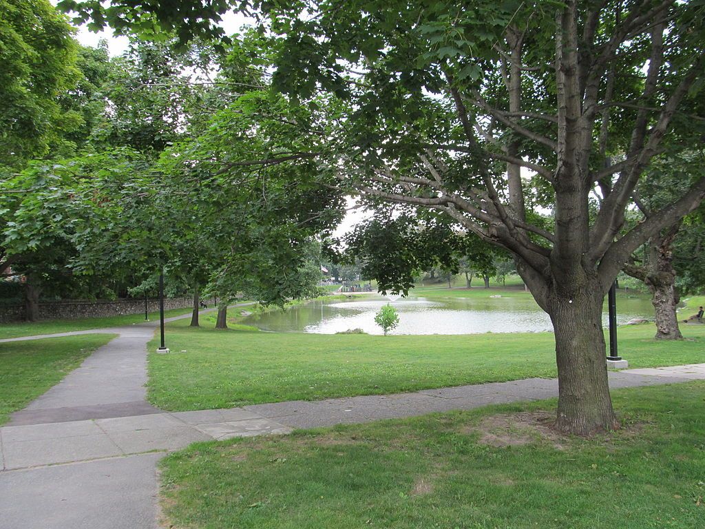 Daytime view of University Park