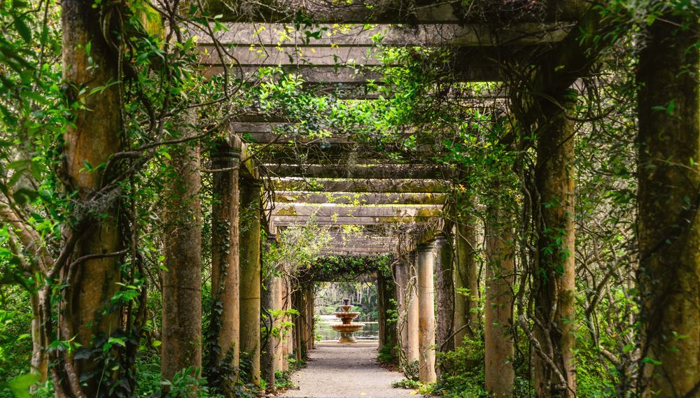 Pathway at Airlie Gardens
