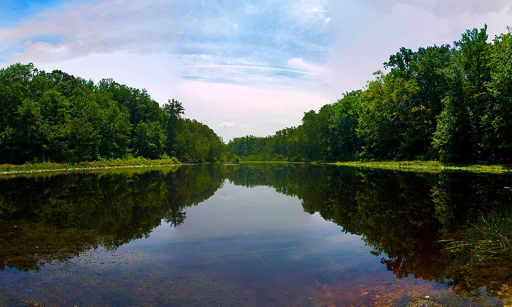 The waters of Cedarville State Forest