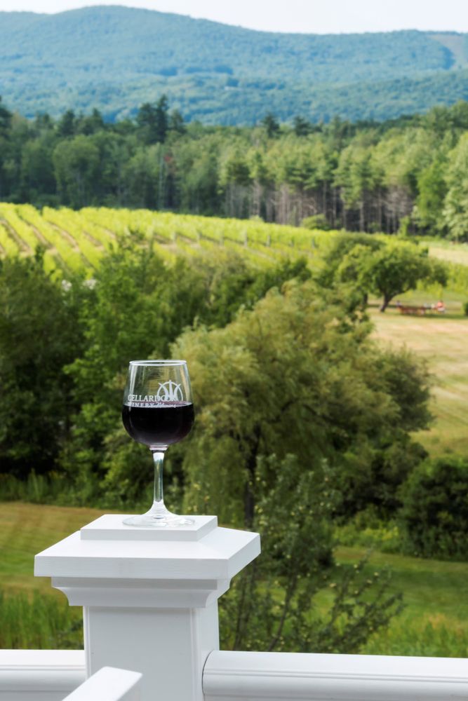A glass of wine at Cellardoor Winery