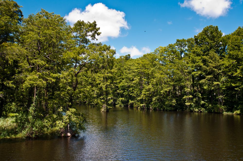 The lake of Greenfield Park