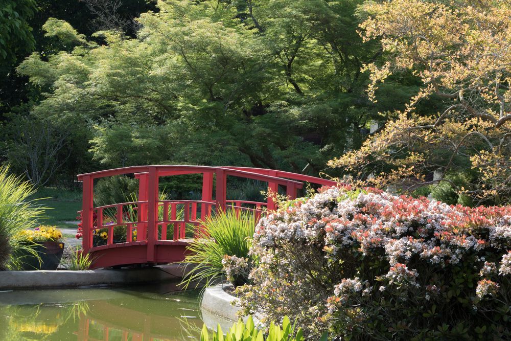 A small bridge at New Hanover County Arboretum