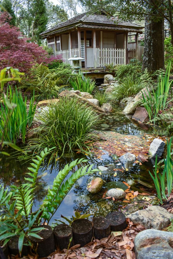 Plants at New Hanover County Arboretum