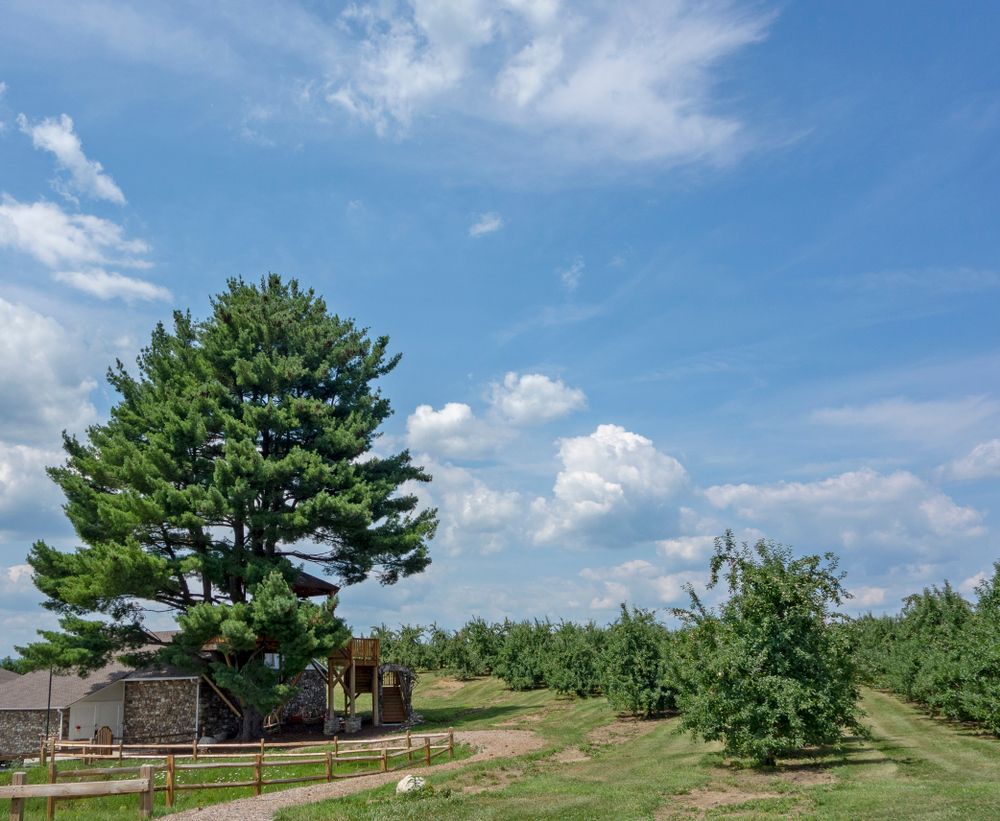 The grounds of Angry Orchard
