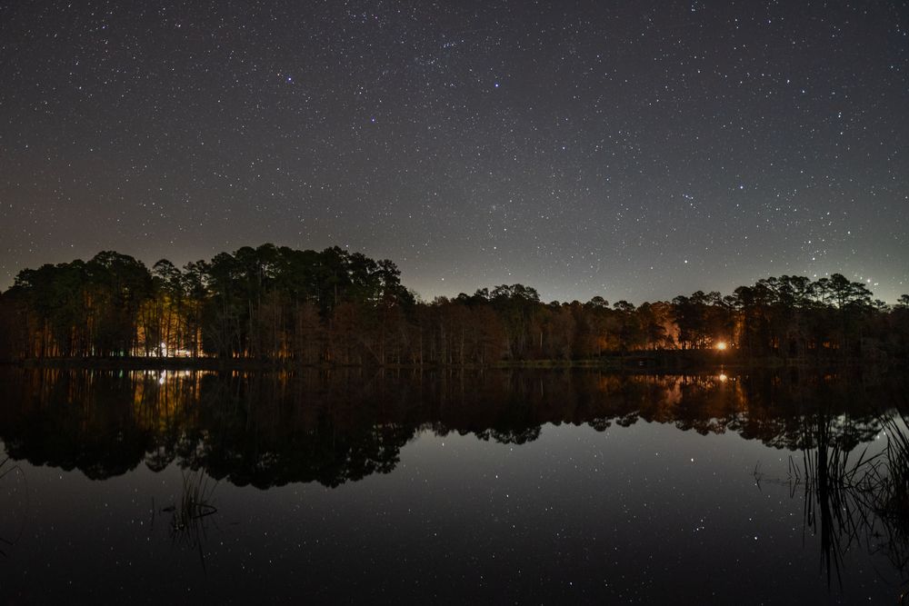 View of Davy Crockett National Forest