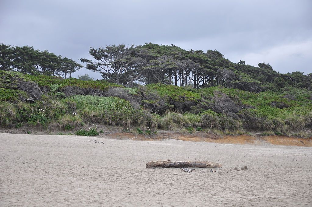 The sands of Beachside State Recreation Site