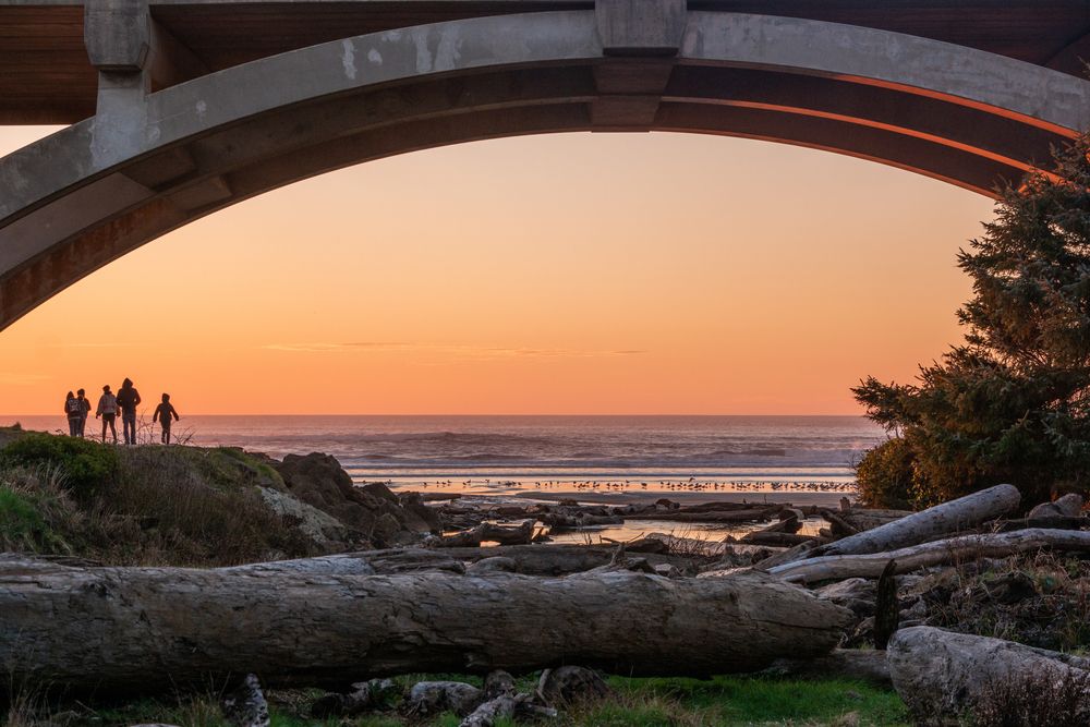 A bridge at Brian Booth State Park
