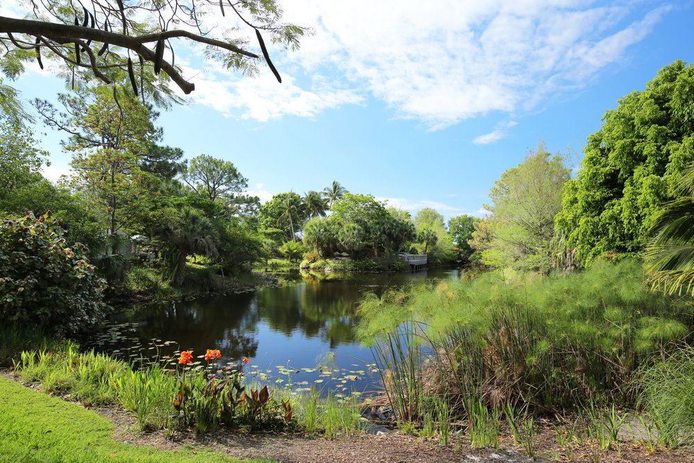 Scenic view of Mounts Botanical Garden