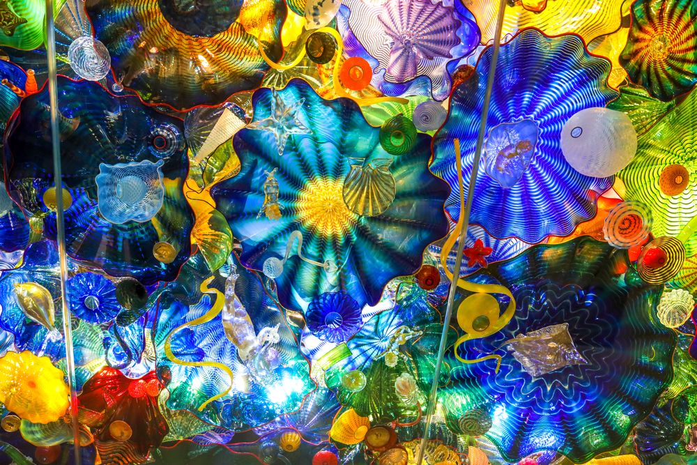 Sea life ceiling in Norton Museum of Art