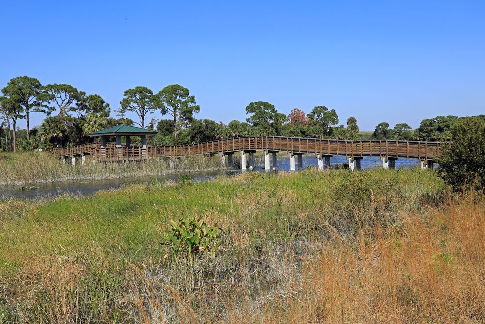 Boardwalk at Winding Waters Natural Area