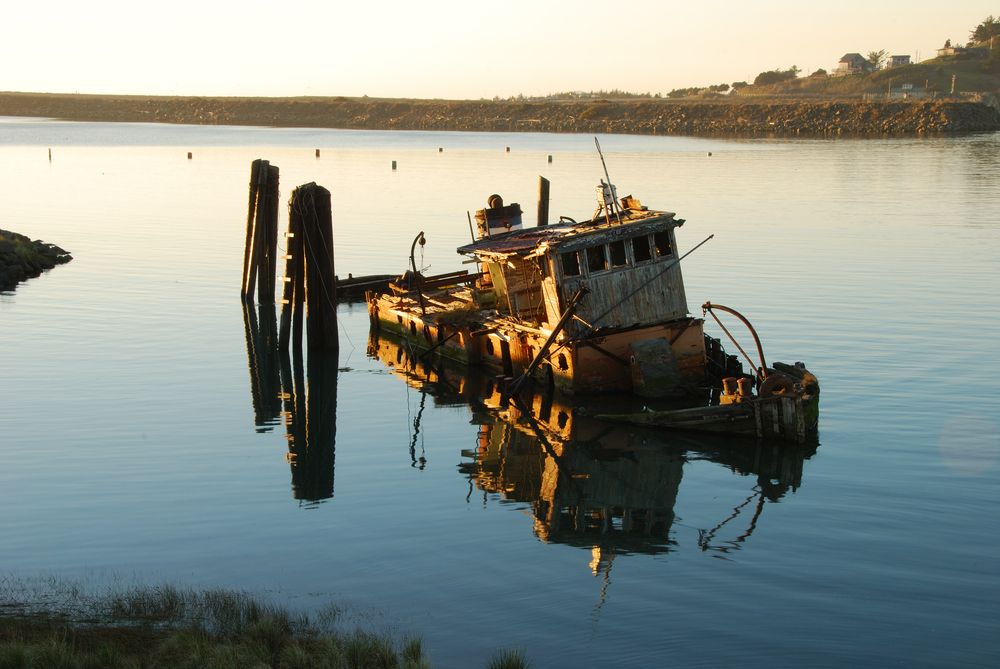 View of the Wreck of the Mary D. Hume