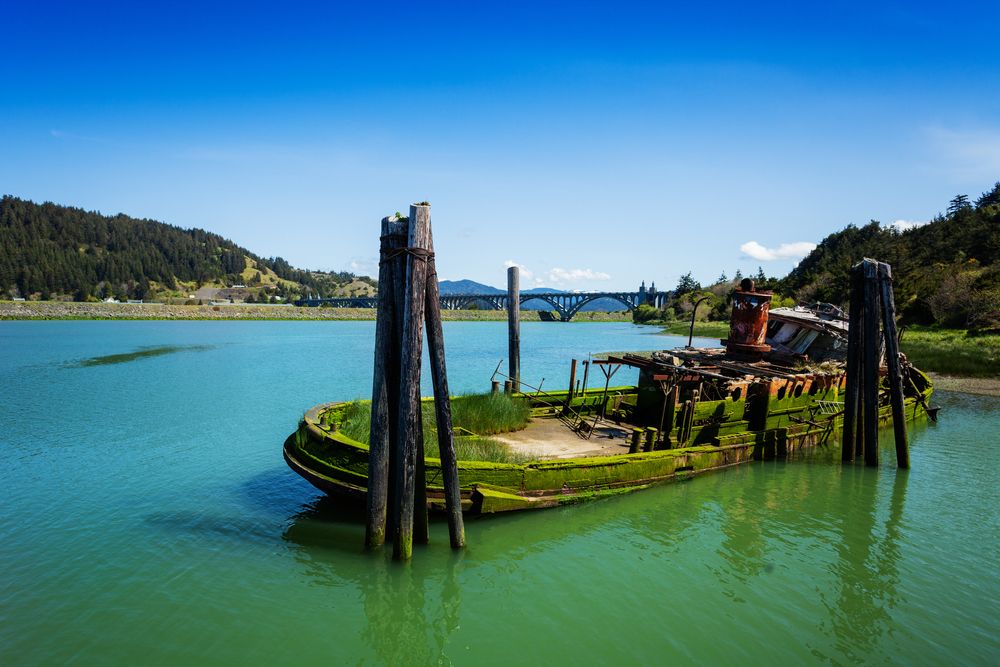 View of the Wreck of the Mary D. Hume