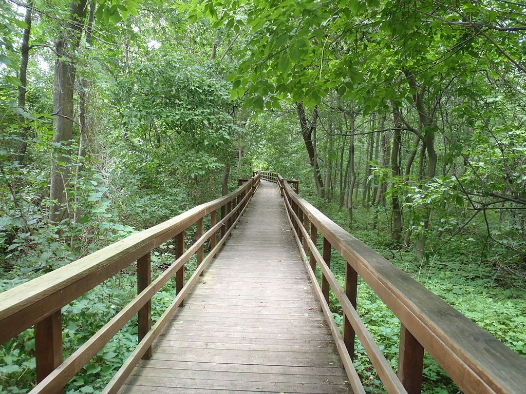 Boardwalk at Charles E. Burchfield Nature & Art Center